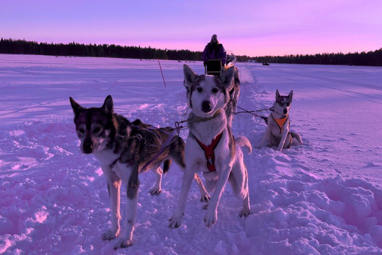 The 5 BEST activities to do in Finland